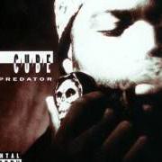 The lyrics DON'T TRUST EM of ICE CUBE is also present in the album The predator (1992)