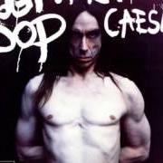 The lyrics BESIDE YOU of IGGY POP is also present in the album American caesar (1993)