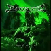 The lyrics REALM OF HATRED of IMMORTAL SOULS is also present in the album Once upon a time in the north (2005)