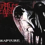 The lyrics FALLOUT THEORY IN PRACTISE of IMPALED NAZARENE is also present in the album Rapture (1998)