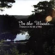 The lyrics HEART OF THE AGES of IN THE WOODS... is also present in the album A return to the isle of man (1996)