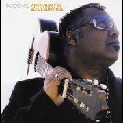 The lyrics DON'T TURN MY LOVE AWAY of INCOGNITO is also present in the album Adventures in black sunshine (2004)
