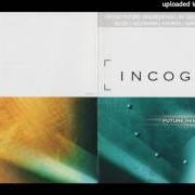 The lyrics WILD AND PEACEFUL of INCOGNITO is also present in the album Future remixed (2000)