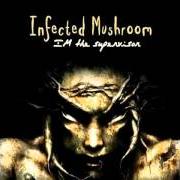 The lyrics RATIO SHMATIO of INFECTED MUSHROOM is also present in the album Im the supervisor (2004)