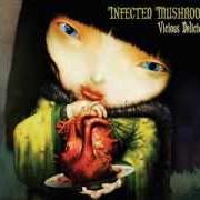 The lyrics SULIMAN of INFECTED MUSHROOM is also present in the album Vicious delicious (2007)