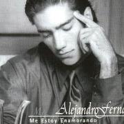 The lyrics ME ESTOY ENAMORANDO of ALEJANDRO FERNÁNDEZ is also present in the album Me estoy enamorando (1997)