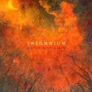 The lyrics MORTAL SHARE of INSOMNIUM is also present in the album Above the weeping world (2006)