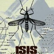 The lyrics RELOCATION SWARM of ISIS is also present in the album Mosquito control (1998)