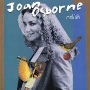 The lyrics ST. TERESA of JOAN OSBORNE is also present in the album Relish (1995)