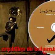 The lyrics CRISTALES DE BOHEMIA of JOAQUIN SABINA is also present in the album Vinagre y rosas (2009)