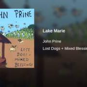 The lyrics LEAVE THE LIGHTS ON of JOHN PRINE is also present in the album Lost dogs and mixed blessings (1995)