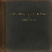 The lyrics GOODBYE of JOSHUA RADIN is also present in the album The ghost and the wall (2021)