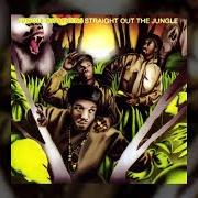 The lyrics SOUNDS OF THE SAFARI of JUNGLE BROTHERS is also present in the album Straight out the jungle (1988)