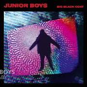 The lyrics YOU SAY THAT of JUNIOR BOYS is also present in the album Big black coat (2016)