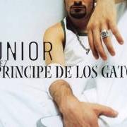 The lyrics TANGO, TANGO, TANGO TENGO of JUNIOR MIGUEZ is also present in the album Príncipe de los gatos (2003)