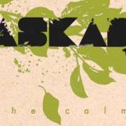 The lyrics MCCAMMON of KASKADE is also present in the album The calm (2006)