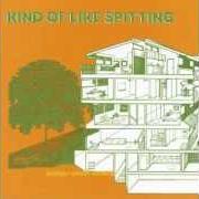 The lyrics CROSSOVER POTENTIAL of KIND OF LIKE SPITTING is also present in the album Bridges worth burning (2002)