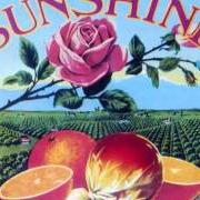 The lyrics HAWAIIAN NIGHTS of THE KINGSTON TRIO is also present in the album Looking for the sunshine (1983)