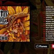 The lyrics ARREGLAMOS CUENTAS of KINTO SOL is also present in the album Protegiendo el penacho (2015)