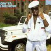 The lyrics 50 WAYS of KOOL MOE DEE is also present in the album How ya like me now (1987)