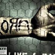 The lyrics GOT THE LIFE of KORN is also present in the album Live & rare (2006)