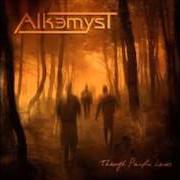 The lyrics THROUGH PAINFUL LANES of ALKEMYST is also present in the album Through painful lanes (2008)