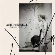 The lyrics NUR FÜR EUCH of L'AME IMMORTELLE is also present in the album Ungelebte leben (2024)