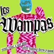 The lyrics CRS of LES WAMPAS is also present in the album Never trust a guy who after having been a punk, is now playing electro (2003)