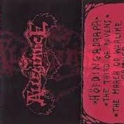 Hövfdingadrapa - demo