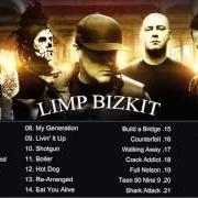 The lyrics LEAN ON ME of LIMP BIZKIT is also present in the album Greatest hits (2005)