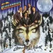 The lyrics CUANDO FUISTE MIA of LOS TEMERARIOS is also present in the album Camino del amor (1995)