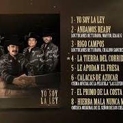 The lyrics ANDAMOS READY of LOS TUCANES DE TIJUANA is also present in the album Yo soy la ley (2026)
