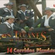 The lyrics EL COMANDANTE DE LA TORRE of LOS TUCANES DE TIJUANA is also present in the album 14 corridos de primera plana (2000)