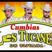 The lyrics RITMO NAVIDEÑO of LOS TUCANES DE TIJUANA is also present in the album De fiesta con (1997)