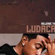 The lyrics GREW UP THE SCREW UP (REMIX) of LUDACRIS is also present in the album Release therapy