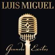 The lyrics UN HOMBRE BUSCA UNA MUJER of LUIS MIGUEL is also present in the album Grandes exitos (disco 1) (2005)