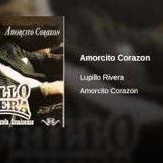 The lyrics PA' TODO EL AÑO of LUPILLO RIVERA is also present in the album Amorcito corazón (2002)