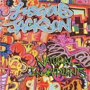 The lyrics CITYSONG of LUSCIOUS JACKSON is also present in the album Natural ingredients (1994)