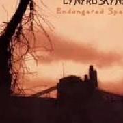 The lyrics AM I LOSIN'? of LYNYRD SKYNYRD is also present in the album Endangered species (1994)
