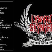 The lyrics WHAT'S YOUR NAME? of LYNYRD SKYNYRD is also present in the album Skynyrd's innyrds (1989)