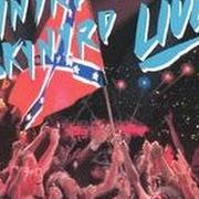 The lyrics WHAT'S YOUR NAME? of LYNYRD SKYNYRD is also present in the album Southern by the grace of god (1988)
