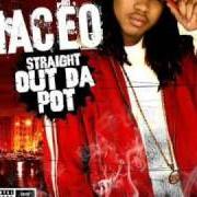 The lyrics OUTTA HERE of MACEO is also present in the album Straight out the pot (2005)