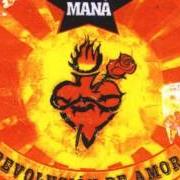 The lyrics SIN TU CARIÑO of MANÁ is also present in the album Revolución de amor (2002)