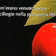The lyrics MONTAPERTI of MARIO CASTELNUOVO is also present in the album Com'erano venute buone le ciliegie nella primavera del '42 (2005)