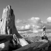 The lyrics BEEHIVE of MARK LANEGAN is also present in the album Gargoyle (2017)