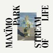 Stream of life
