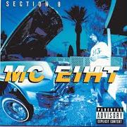 The lyrics SECTION 8 (INTRO) of MC EIHT is also present in the album Section 8 (1999)