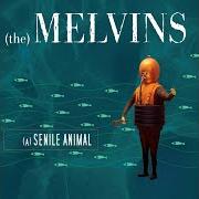 The lyrics CIVILIZED WORM of THE MELVINS is also present in the album (a) senile animal (2006)
