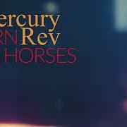 The lyrics A BIRD OF NO ADDRESS of MERCURY REV is also present in the album Born horses (2024)