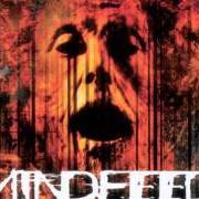 The lyrics I BLEED of MINDFEED is also present in the album Ten miles high (1998)